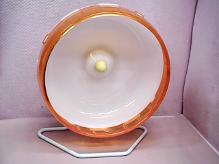 寵物玩具