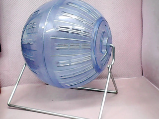 寵物玩具