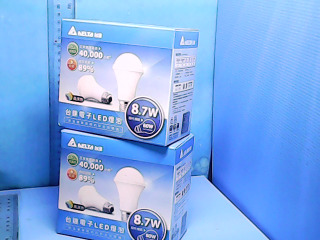 LED燈泡2入白光-