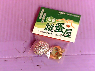 胸針
