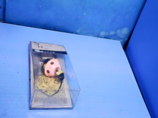 鑰匙圈