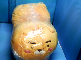 室內脫(不試穿)