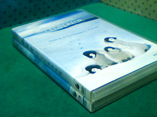 DVD-企鵝寶貝