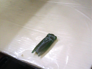 墜飾