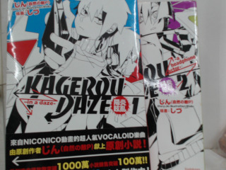 小說2入