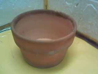 花盆