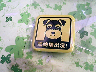 胸針