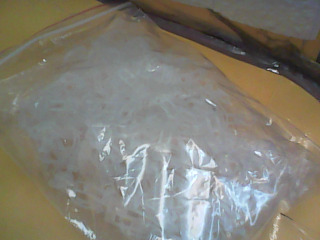 植物固定夾多入