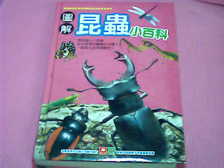 童書-昆蟲小百科