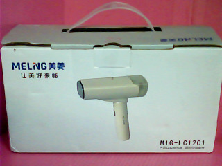 掛燙機-220V