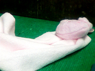 擦手巾