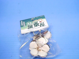 耳環