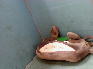 袋