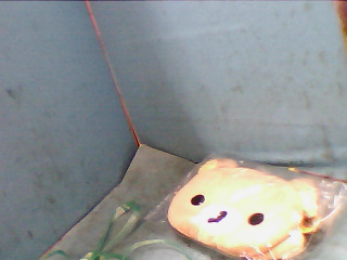 袋