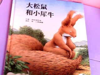 童書-大松鼠和小犀牛