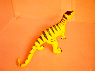 娃娃