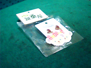 耳環