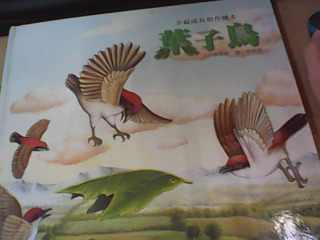繪本 葉子鳥