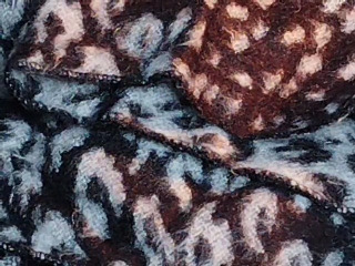 豹紋織物