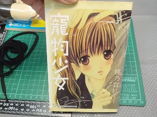 寵物少女
