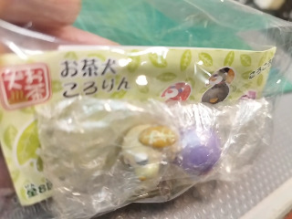 茶犬玩偶