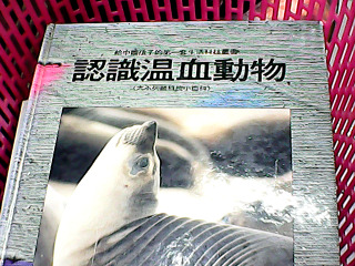 童書