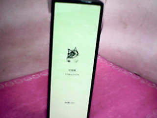 寵物香水