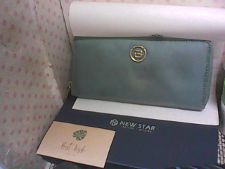 NEW STAR 防盜刷 長夾