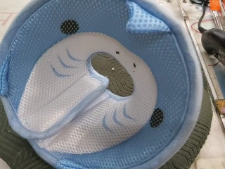 寵物