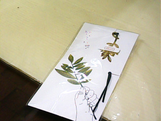 書籤