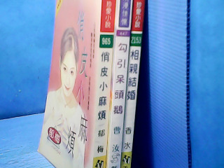 小說-單售