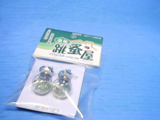 耳環