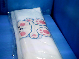 外出夾鏈袋12入