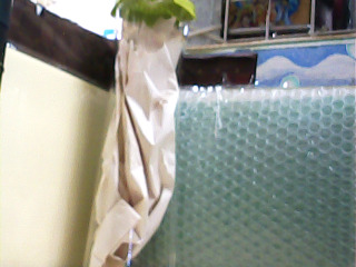 玻璃冷水壺