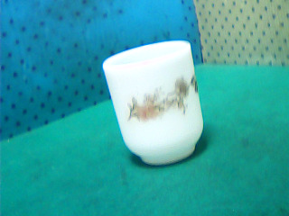 杯