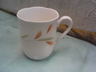 杯