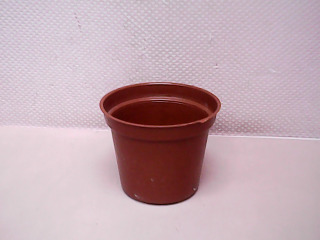 花盆