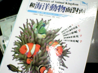 童書