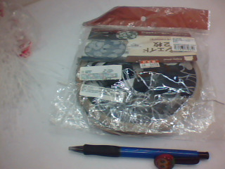 遮陽片*2