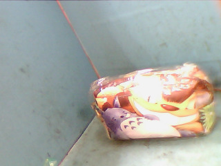 袋