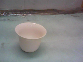 杯