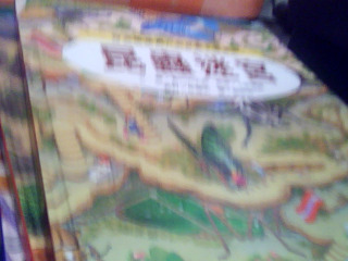 遊戲書-知識大迷宮