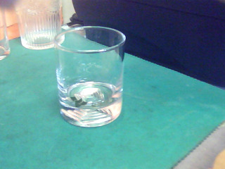 玻璃杯