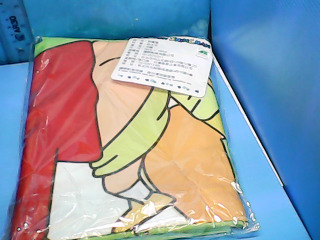 全新野餐墊