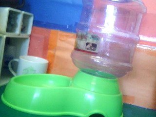 寵物自動飲水機