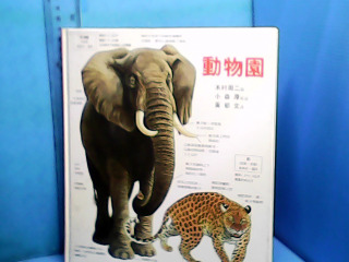 童書-動物園