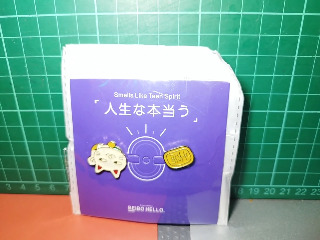 造型耳環/胸針組