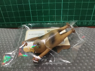 碳碳玳瑁貓