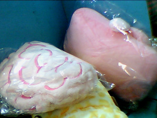 娃