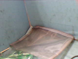 袋